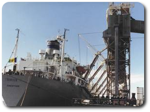 Photo of the ocean-going vessel, the Sirius, being loaded with corn.